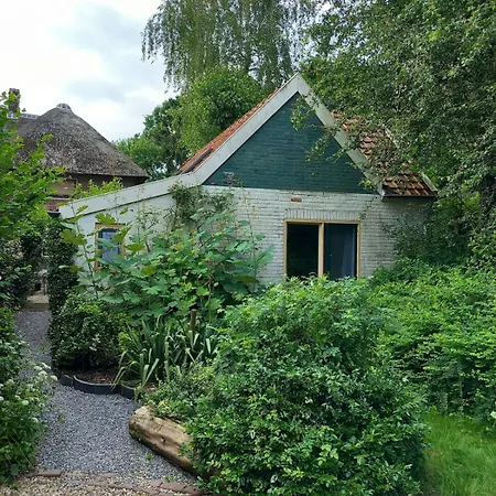 Tiny House With Big Pool! Hurwenen